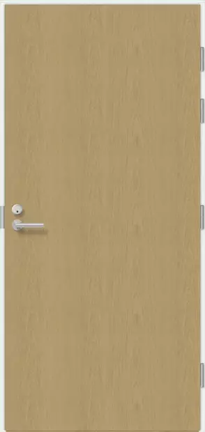 Våningdörr, Branddörr, Valnötfinér - Branddörrar - 110161311 - 1